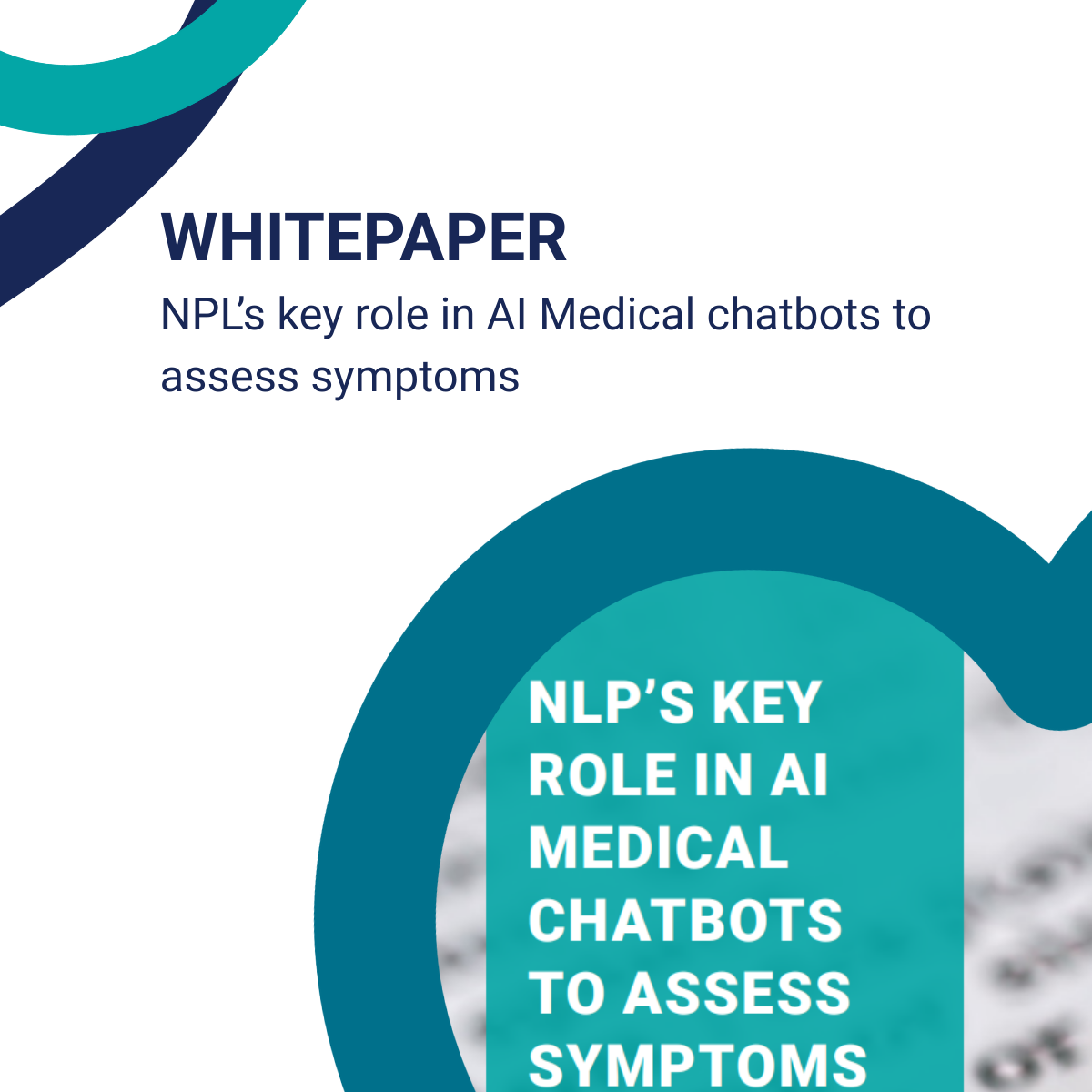 whitepaper NPL